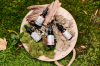 meilleurs sites CBD