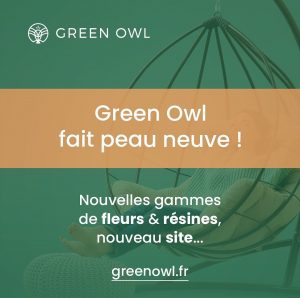 nouveau site green owl