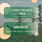 code promo greenowl -30%